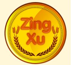 Những lưu ý khi mua zing xu online